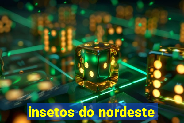 insetos do nordeste